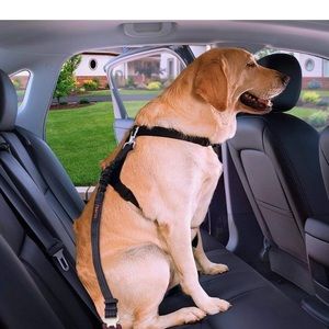 ibuddy Dod Seatbelt. NWOT